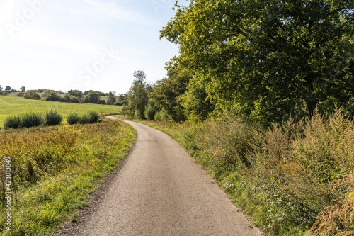  Pathway in the countryside