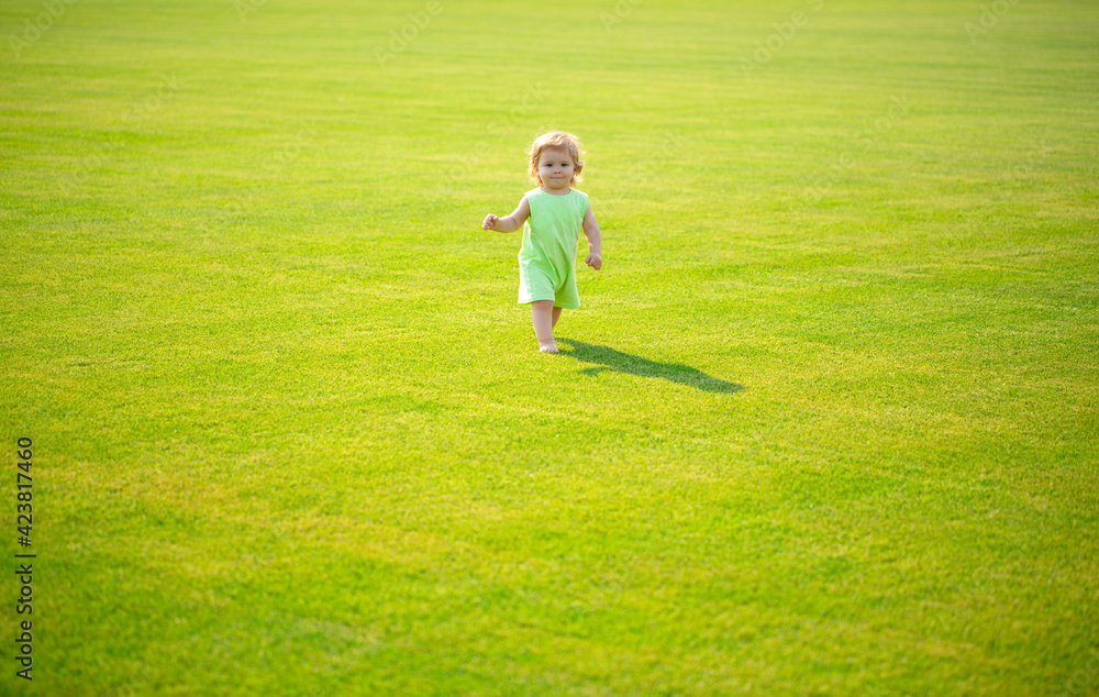 Baby play in green grass. Child development. Adorable little kid walking in an autumn field.