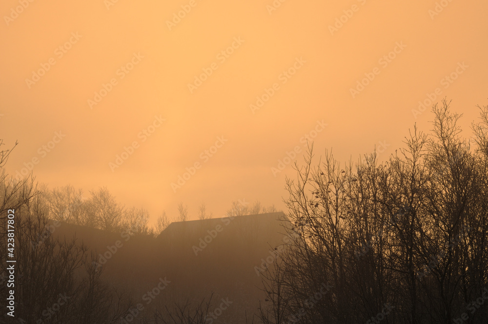 Abandoned house in the fog surrounded by trees. Mystical and mysterious photo of a dark house. Orange dense fog and black rowan trees with bunches of berries. Wallpaper. Abandoned house in the fog surrounded by trees. Mystical and mysterious photo of a dark house. Orange dense fog and black rowan trees with bunches of berries. Wallpaper.