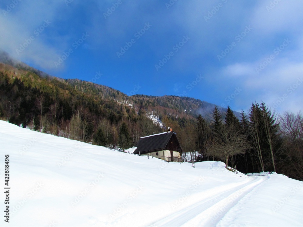 Meadow covered in snow and mixed conifer and broadleaf forest covering the hills above in Karawanks mountains, Slovenia and a stone and wood cabin on the meadow