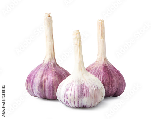 Three garlic heads