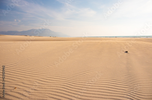 Desert Background Landscape with sand waves