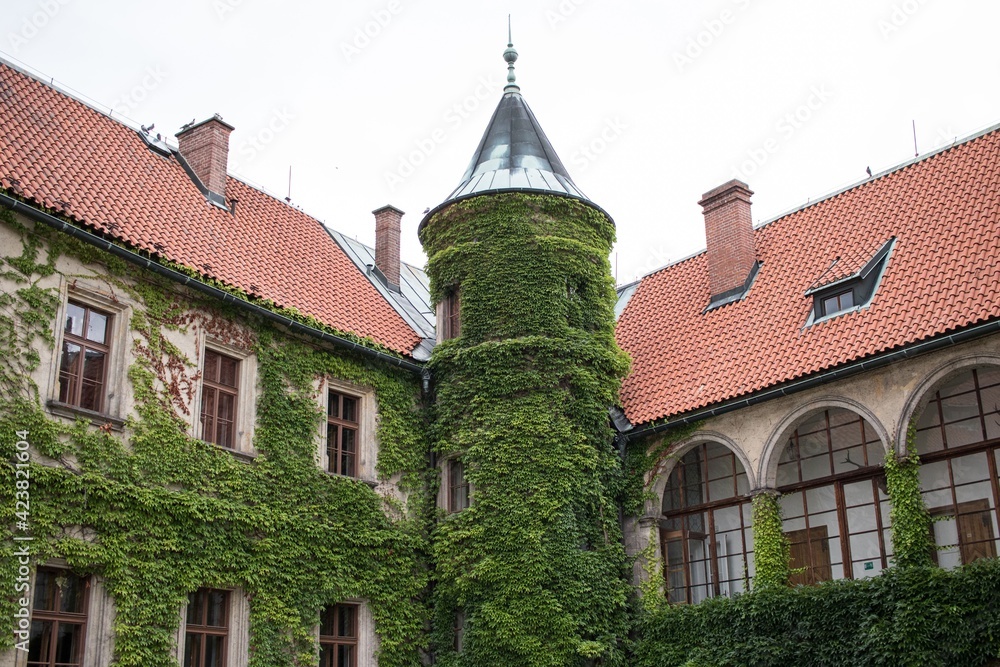 Ivy covered old building with tower