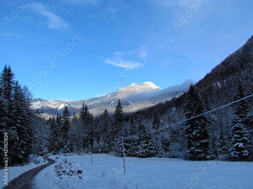 Snow covered hills lit by sunlight above Jezersko in Gorenjska, Slovenia and a frost covered spruce forest and a field in front