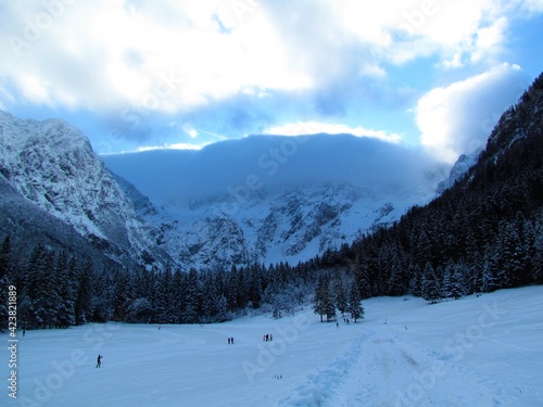 Winter view of mountains above Jezersko in Kamnik-Savinja alps in Gorenjska, Slovenia covered in snow and clouds covering the upper part and a snow covered clearing in a conifer forest and a lodge