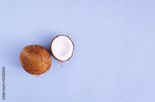 Creative layout made of coconuts