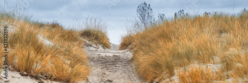 Protective grass holds sand beaches in island Rugen, Northern Ge © tilialucida