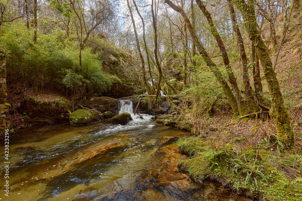 Small waterfall formed by the river Teo in the area of Galicia, Spain. Small waterfall formed by the river Teo in the area of Galicia, Spain.