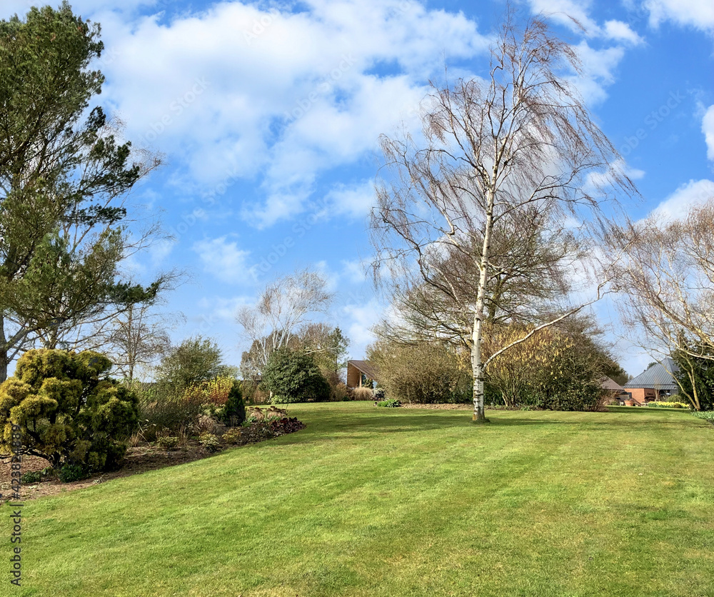Scenic View of a Beautiful English Style Hyde Hall Garden with Green Lawn and blue sky, RHS garden, UK, 17 March 2020