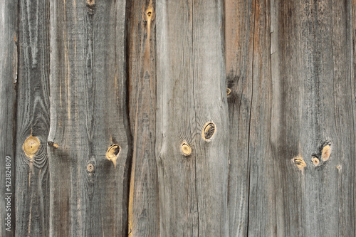 Natural wood texture for background. Copy space, banner Old wood Natural background