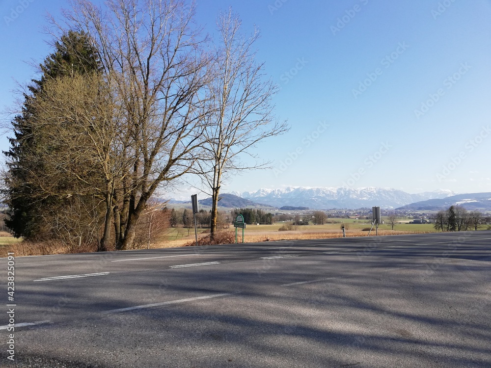Fototapeta premium landscape with trees and snowcapped mountains
