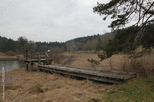 Marais des Lèches, Ain	 photo