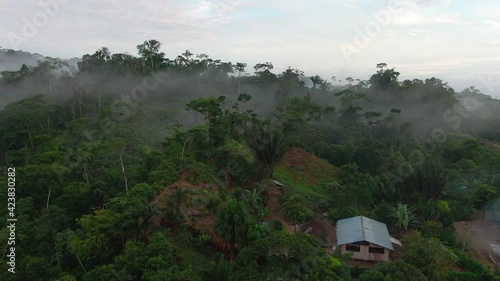 Ecuador jungle aerial view photo