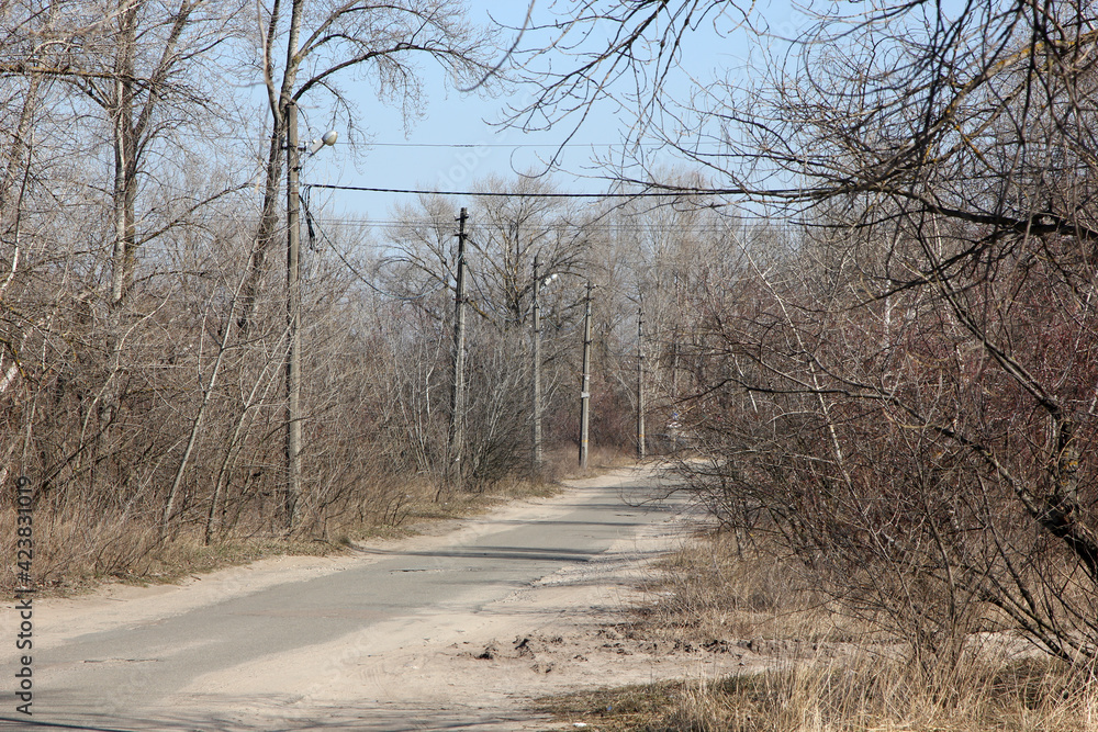 road and concrete pillars in the park road and concrete pillars in the park