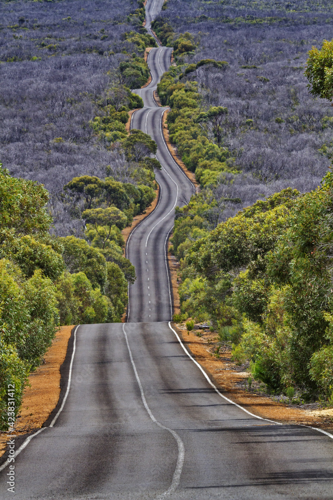 Adventure road trip on Kangaroo Island in Australia with long, twisting, hilly road reflecting