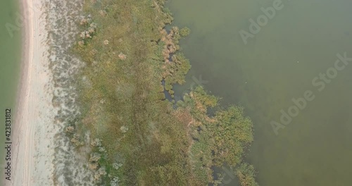 Aerial view of Tuzly Estuary National Nature Park near by Black Sea coast, Tatarbunary region, Bessarabia, Ukraine photo