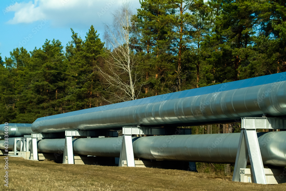 a close-up pipeline, a long-distance green forest and blue sky a close-up pipeline, a long-distance green forest and blue sky