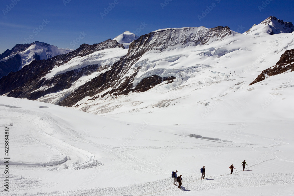 Roped climbers on the Jungfraufirn glacier with beyond, the Kranzberg and in the distance the Aletschhorn, the Gletscherhorn and the Dreieckhorn: Bernese Oberland, Switzerland