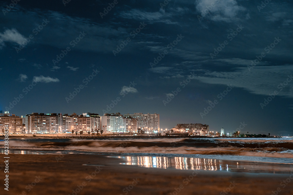 Montevideo city coast at night.