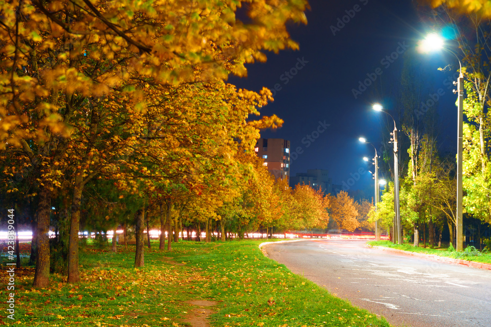 autumn in the city at night, trees with yellow leaves, road and houses