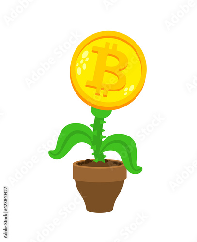 Bitcoin plant in pot. Cryptocurrency flower.