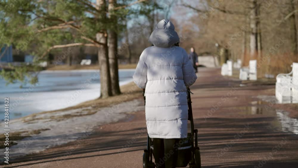 Mother with baby carriage walking along footpath in the park in early spring woman pushing baby pram on path in Catherine Park in the town of Tsarskoye Selo Pushkin. High quality 4k footage Mother with baby carriage walking along footpath in the park in early spring woman pushing baby pram on path in Catherine Park in the town of Tsarskoye Selo Pushkin. High quality 4k footage