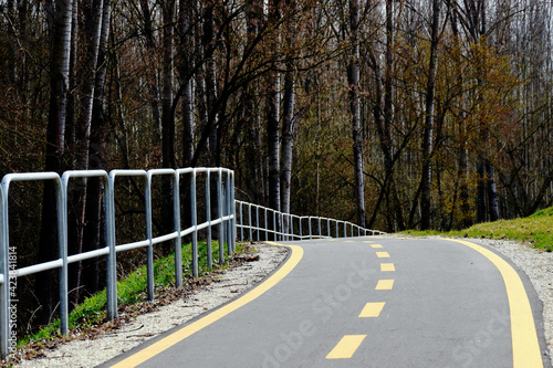 bicycle route and lane. paved asphalt path. diminishing perspective. spring nature scene. dense forest on the side. yellow dashed painted divider. two lanes. outdoors  sport and recreation