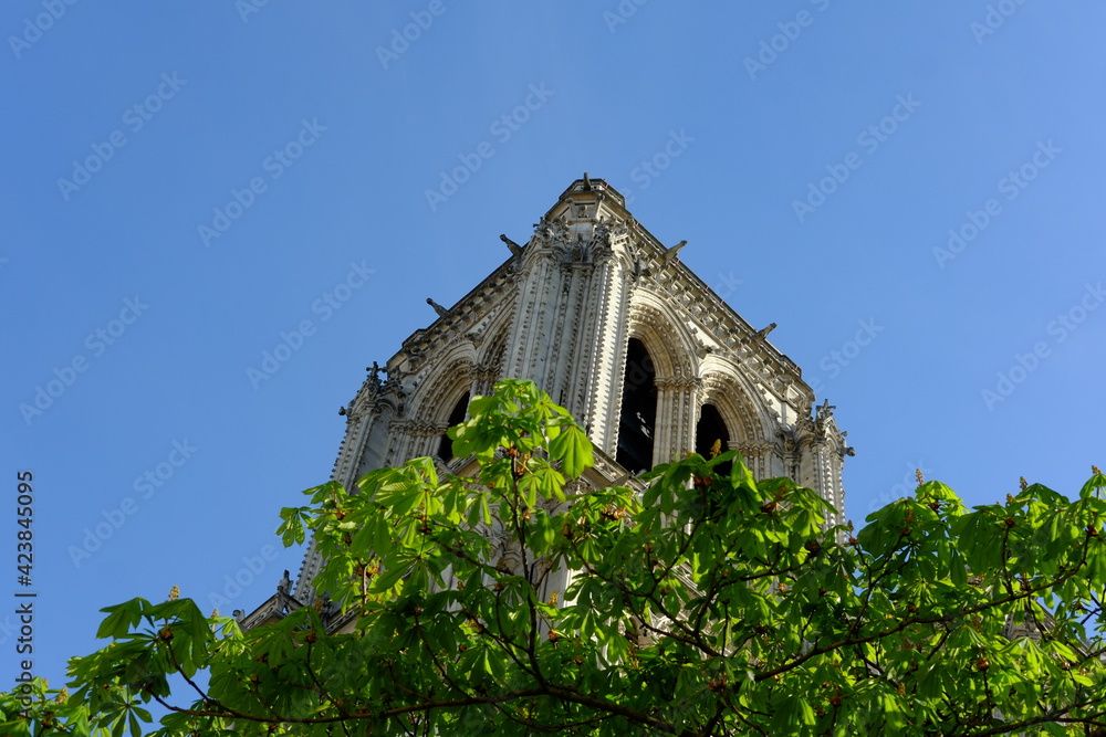 Obraz premium A close-up on Notre Dame during its reconstruction after the fire destruction of April 20219. A sunny day the 26th march 2021. Paris, France