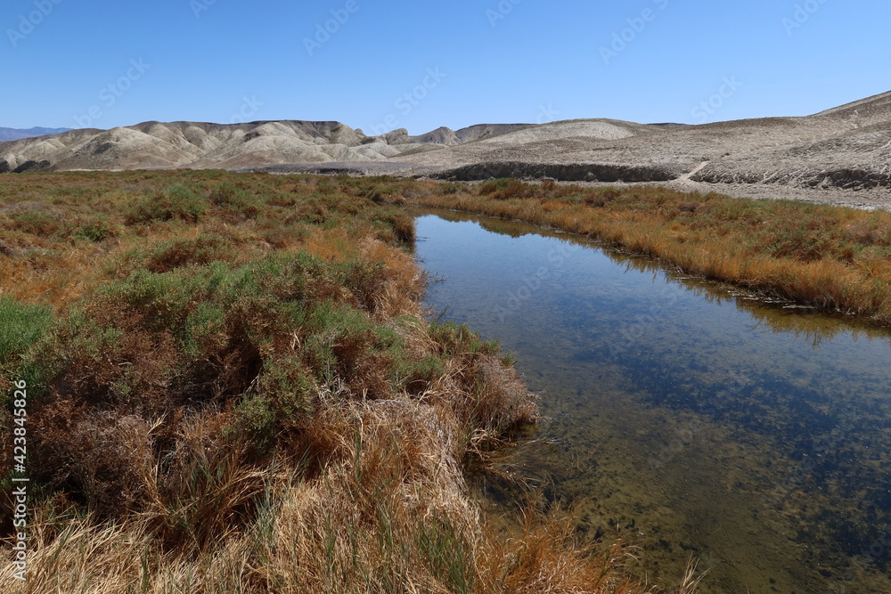 Salt Creek Stream in Death Valley, California, the Desert Pupfish Habitat for the Endangered Fish