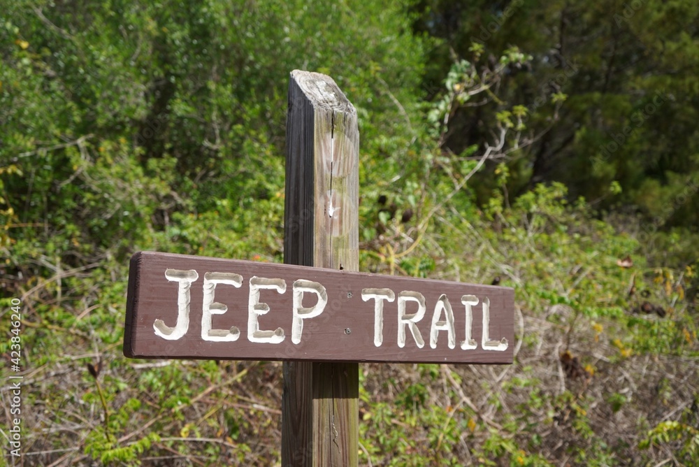 The Jeep hiking trail 