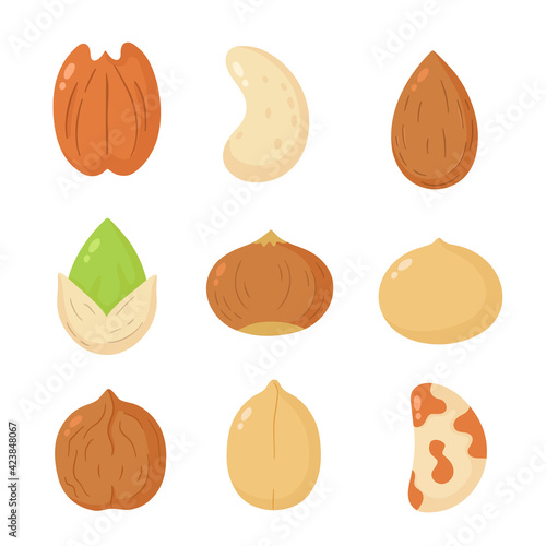 Nuts mix set collection. Vector flat cartoon illustration icon design. Isolated on white background. Peanut, hazelnut, walnut, Brazil nut, pistachio, cashew, pecan, almond bundle concept