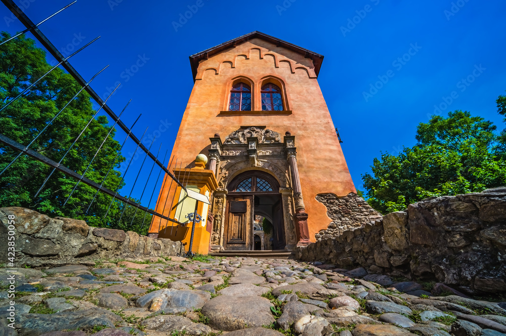 Fototapeta premium Grodno Castle surrounded by greenery under the sunlight and a blue sky in Zagorze, Poland