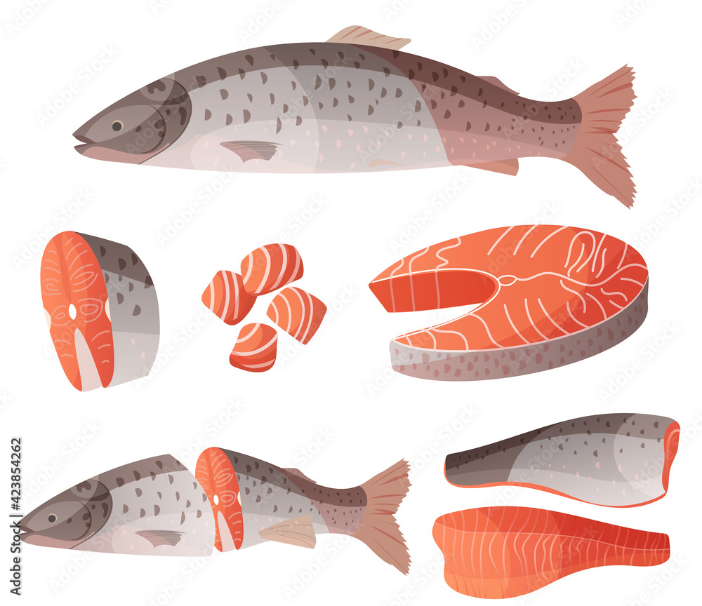 Big set salmon, red fish cut in half, cut slices and fillet vector  illustration in cartoon style Stock Vector