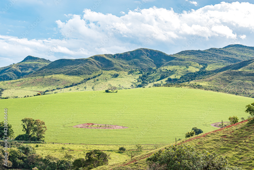 Landscape of a farm field next to the hills, green field on a beautiful sunny day. Landscape of Minas Gerais state, MG, Brazil.