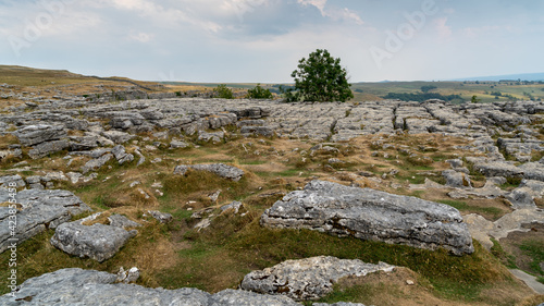 View of the Limestone Pavement above Malham Cove in the Yorkshire Dales National Park photo