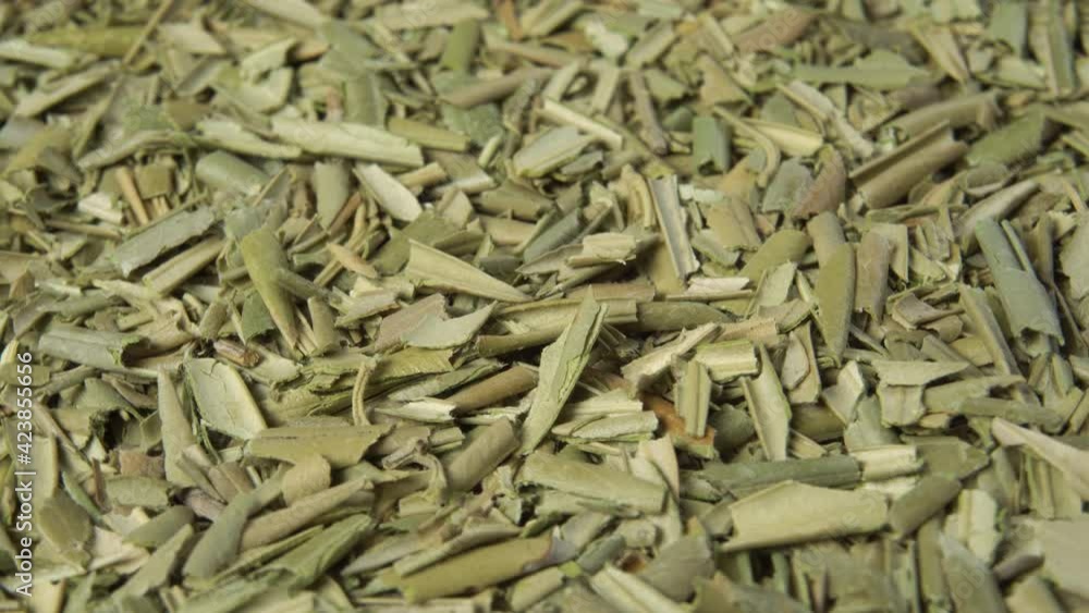 Dried Olive Leaves for healthy natural medicinal tea. Rotation. Macro Dried Olive Leaves for healthy natural medicinal tea. Rotation. Macro