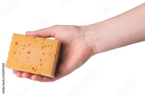 hand with scrubber sponge