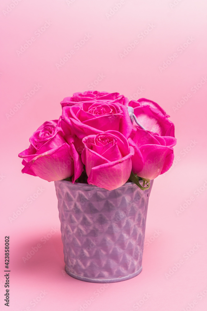 Bouquet of fresh pink roses in a bucket Bouquet of fresh pink roses in a bucket
