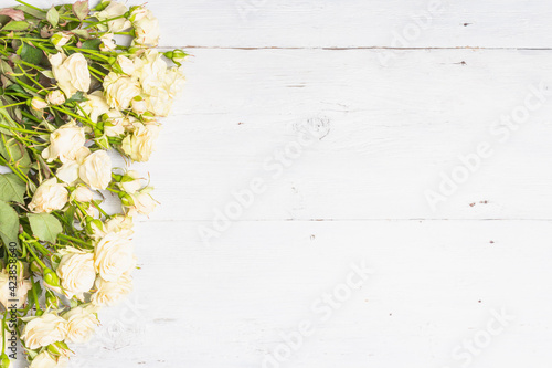 Fresh beige roses on old white wooden boards