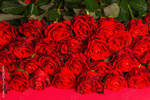 Luxurious bouquet of fresh red roses
