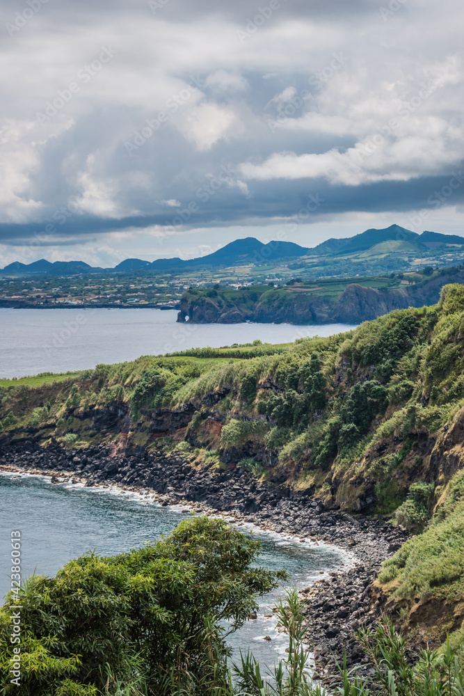 Selective focus on a tree along the cliff with a rocky beach with mountains on the horizon, São Miguel - Azores PORTUGAL
