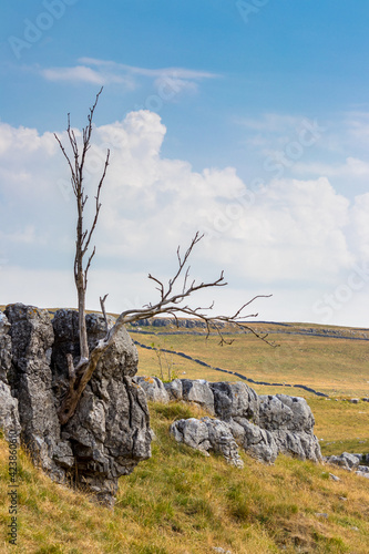 View of the Limestone Pavement near the village of Conistone in the Yorkshire Dales National Park photo