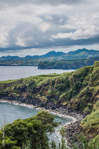 Selective focus on a tree along the cliff with a rocky beach with mountains on the horizon, São Miguel - Azores PORTUGAL © Liliana
