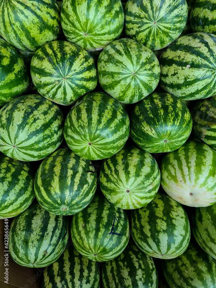 Fototapeta premium Melancias verdes empilhas em um centro de distribuição de frutas