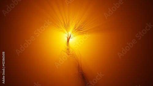 Silhouette of growing tree in a shape of a deer. Sun rays shining through the tree. Eco Concept.