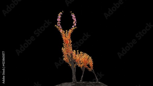 Tree in a shape of a deer. Seasonal transition on black background. Eco Concept.