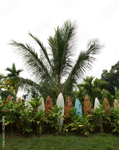 Photography Hawaiian surfboard fence surrounding a yard