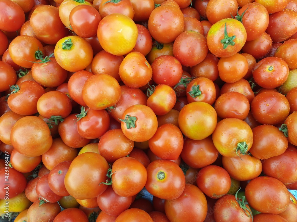 stock of tomato bird's-eye view stock of tomato bird's-eye view