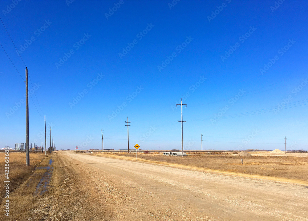 Country road on the sunny day