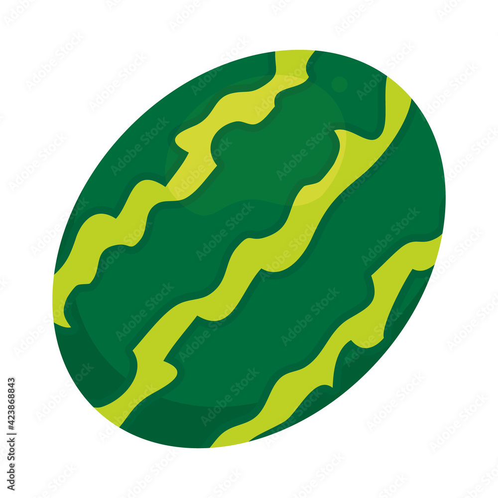 Fototapeta premium watermelon fruit design